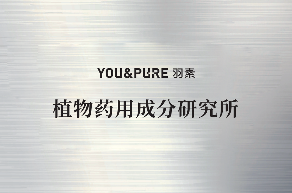 联合科研实验室 1