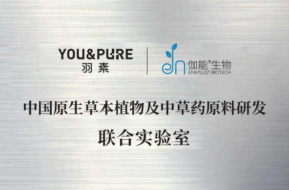 联合科研实验室 8